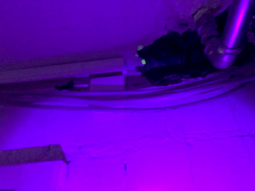 Farbstoffnachweis mit UV-Licht